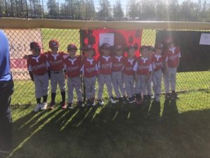 ASi-Networks sponsor for the Brea Little League