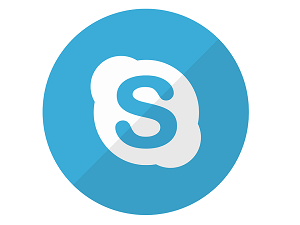 skype icon