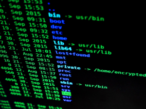 Strengthening Cybersecurity Defenses in Real Time